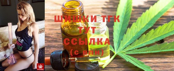 тгк Абинск
