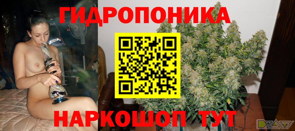 МАРИХУАНА семена  Бошки марихуана индика  Марихуана марихуана  Вход с VPN  Бошки Шишки сатива  Североморск 